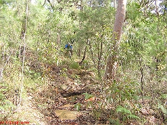 20080420-ONR 113 